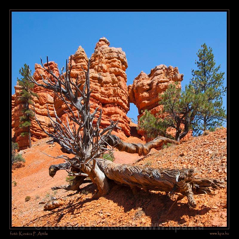 Red Canyon 02.jpg